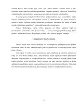 Senųjų ir šiuolaikinių vestuvių skirtumai Lietuvoje 9 puslapis