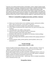 Praktinis darbas. Montavimas, priežiūra, remontas 2 puslapis