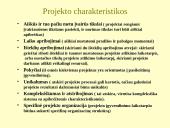 Projekto sąvoka 2 puslapis