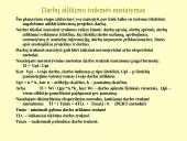 Projekto sąvoka 14 puslapis