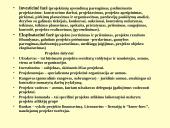 Projekto sąvoka 4 puslapis