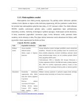 Restorano „14 10“ situacijos analizė 17 puslapis