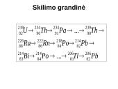 Apsauga nuo jonizuojančios spinduliuotės skaidrės 11 puslapis