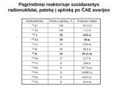 Apsauga nuo jonizuojančios spinduliuotės skaidrės 13 puslapis