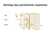 Apsauga nuo jonizuojančios spinduliuotės skaidrės 9 puslapis