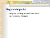 Bio įvairovės sauga 12 puslapis