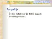 Bio įvairovės sauga 14 puslapis