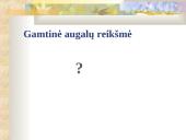 Bio įvairovės sauga 16 puslapis