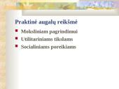 Bio įvairovės sauga 17 puslapis