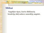 Bio įvairovės sauga 19 puslapis