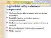 Bio įvairovės sauga 20 puslapis