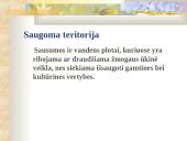 Bio įvairovės sauga 4 puslapis