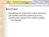 Bio įvairovės sauga 7 puslapis