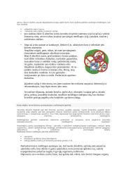 Kaip elgtis esant biologinei taršai 13 puslapis
