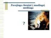 Apsauga nuo nuodingų medžiagų 4 puslapis