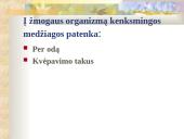 Atmosferos tarša. Taršos mažinimo priemonės 13 puslapis