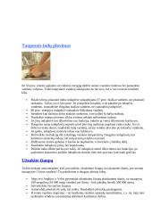 Konspektas apie vandenį 2 puslapis