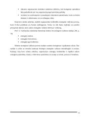 UAB „Scandye“ strateginis planas 14 puslapis