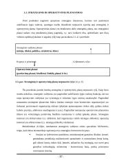 UAB „Scandye“ strateginis planas 16 puslapis