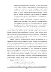 UAB „Scandye“ strateginis planas 17 puslapis