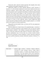 UAB „Scandye“ strateginis planas 20 puslapis