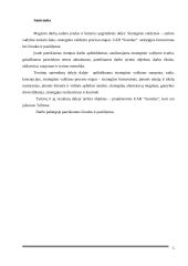 UAB „Scandye“ strateginis planas 4 puslapis