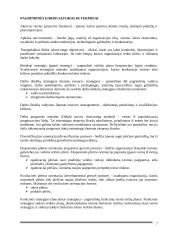 UAB „Scandye“ strateginis planas 6 puslapis