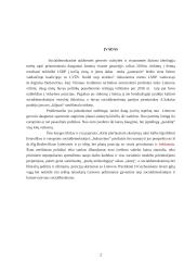 Algirdas Butkevičius. II Europinės politikos raundas 2 puslapis