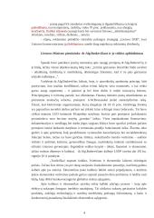 Algirdas Butkevičius. II Europinės politikos raundas 4 puslapis