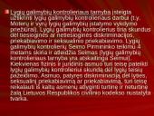 Viešojo administravimo kontrolė skaidrės 12 puslapis