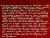 Viešojo administravimo kontrolė skaidrės 13 puslapis