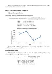 Įmonės pelningumo rodikliai 3 puslapis