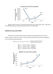 Įmonės pelningumo rodikliai 4 puslapis