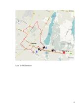 Įvairių transporto rūšių išmetamų teršalų kiekių palyginimas  11 puslapis