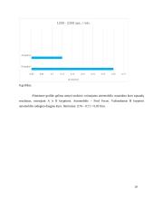 Įvairių transporto rūšių išmetamų teršalų kiekių palyginimas  19 puslapis