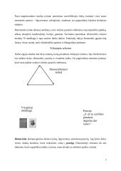 Įžanga į dienoraštį 2 puslapis