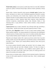 Įžanga į dienoraštį 3 puslapis