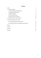Kelio pylimo įšalo formavimosi meteorologinių sąlygų vertinimas Lietuvoje 3 puslapis
