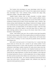 Kelio pylimo įšalo formavimosi meteorologinių sąlygų vertinimas Lietuvoje 4 puslapis