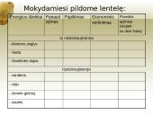 Energijos ištekliai (neatsinaujinantys) 11 puslapis