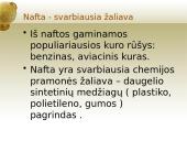 Energijos ištekliai (neatsinaujinantys) 16 puslapis