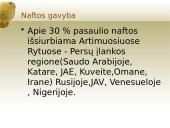 Energijos ištekliai (neatsinaujinantys) 17 puslapis