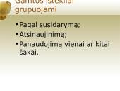 Pasaulio ūkio išteklių įvairovė bei jų pasiskirstymas 4 puslapis