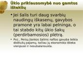 Pasaulio ūkio išteklių įvairovė bei jų pasiskirstymas 8 puslapis