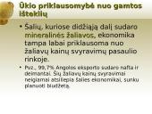 Pasaulio ūkio išteklių įvairovė bei jų pasiskirstymas 10 puslapis