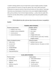 Sveikatos ir fizinio parengtumo principai (Principles of Health and Fitness) 6 puslapis
