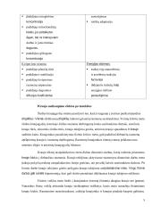 Sveikatos ir fizinio parengtumo principai (Principles of Health and Fitness) 7 puslapis