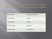 Bendravimas su ligoniais, kurie serga mirtina liga  12 puslapis