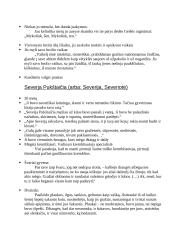 Vaižgantas - Dėdės ir dėdienės 7 puslapis