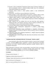 Dailės pamokos planas su užduotimis 2 puslapis